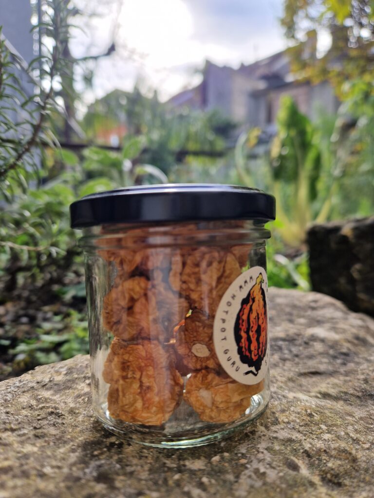 Hot Pot Chilies, Borg 9 Peach ganz, getrocknet