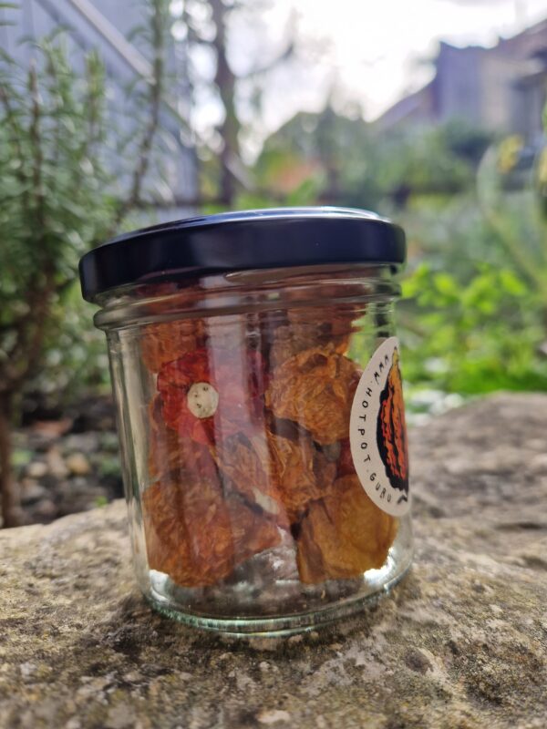 Hot Pot Chilies, Brazilian Starfish, ganz getrocknet