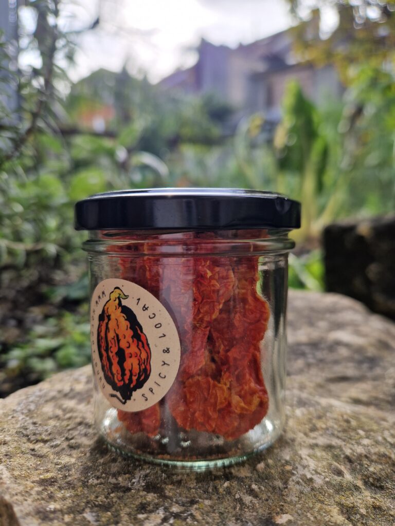 Hot Pot Chilies, Bhut Jolokia ganz, getrocknet