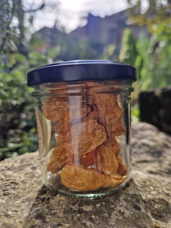 Hot Pot Chilies Naga White ganz, getrocknet