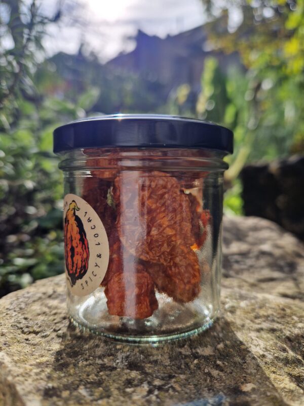 Hot Pot Chilies Habanada ganz, getrocknet