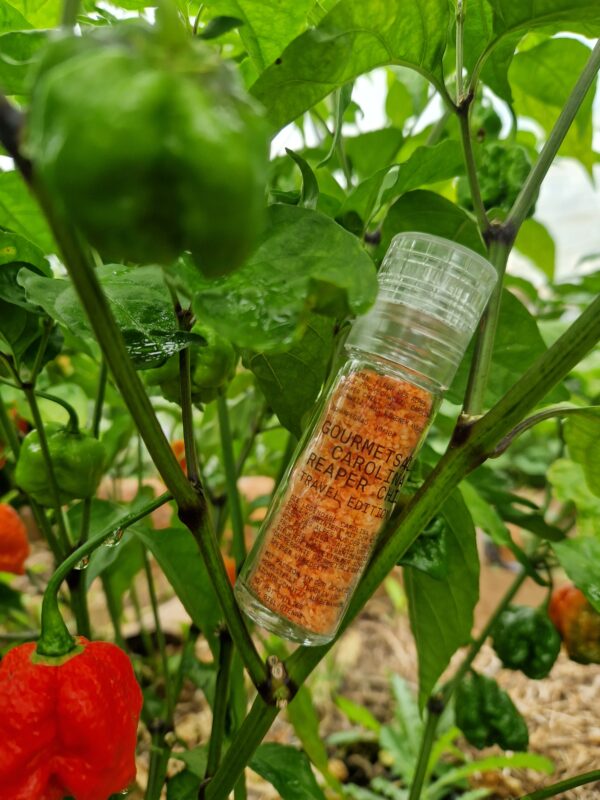 Gourmetsalz Carolina Reaper Chili - Travel Edition